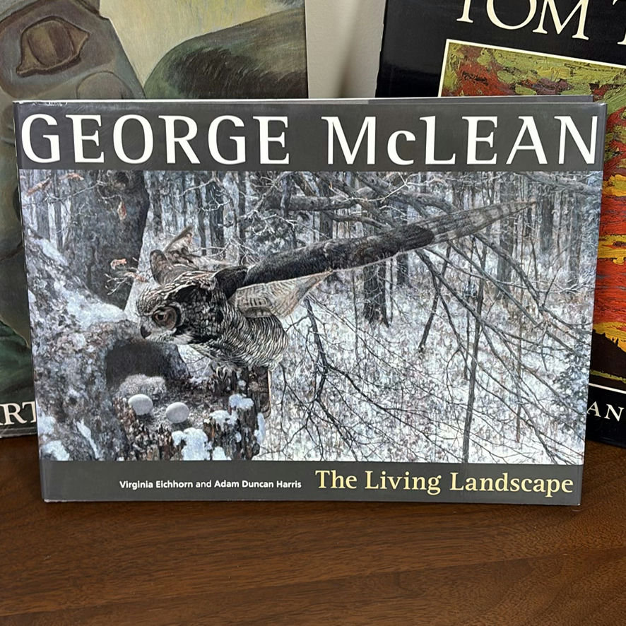 Collection of 16 Canadian Art and Artist Books - image 11 of 15