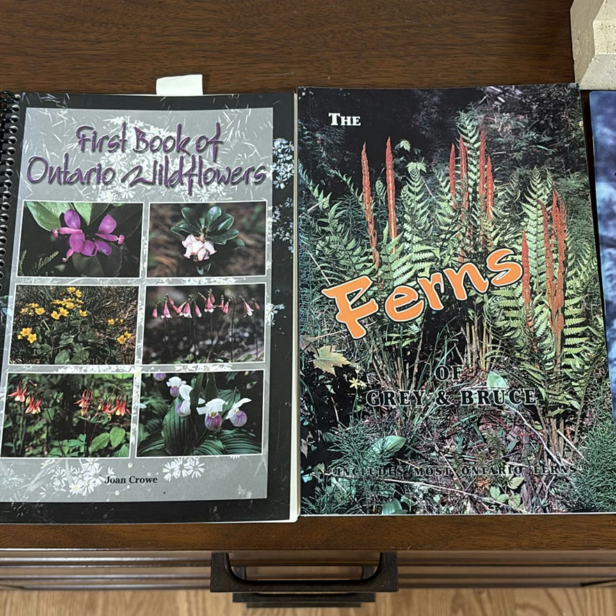 Nature and Plant Guide Books with Stone Bookends - image 5 of 12