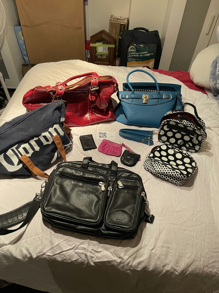 Assorted Handbags, Tote Bags, and Small Pouches - image 1 of 6