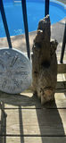 Metal Plant Stand and Artificial Potted Tree - thumbnail 6 of 7