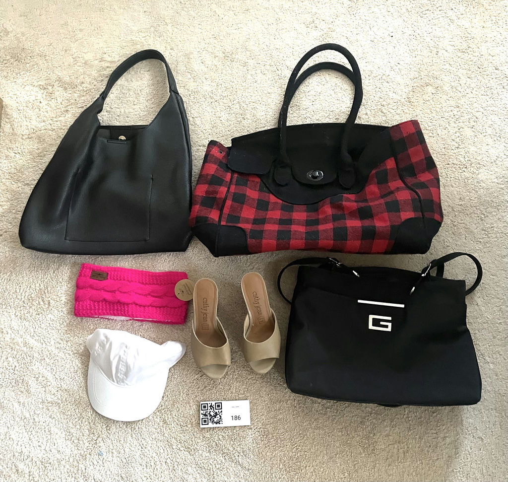 Assorted Handbags, Shoes, Hat, and Headband - image 1 of 6