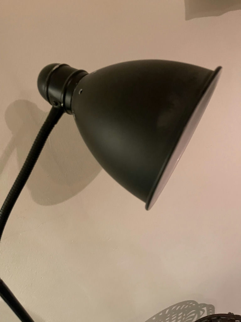 Floor Lamp, Metal Plant Stand, and Decorative Pillow - image 5 of 7