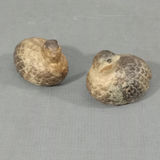This Collection is For The Birds - thumbnail 15 of 27