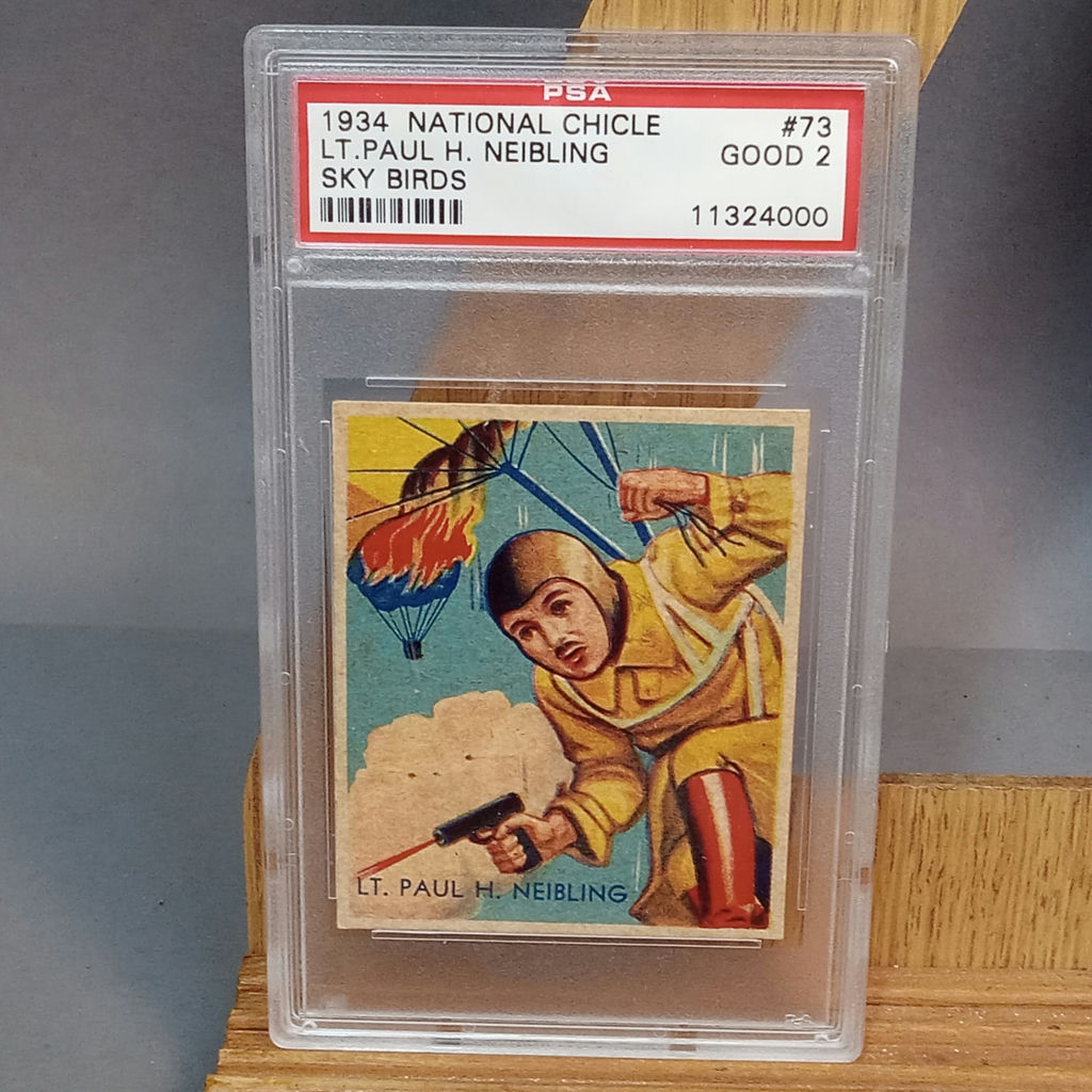 1933 / 1934 National Chicle Sky Birds Cards - image 10 of 22