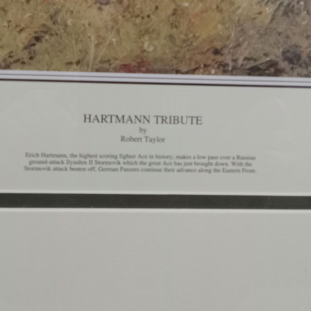 Hartmann Tribute Framed Print by Robert Taylor - image 4 of 9