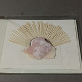 River Stones, Shells, And Arrowheads - thumbnail 9 of 12