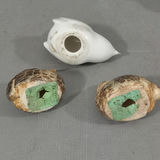 This Collection is For The Birds - thumbnail 18 of 27