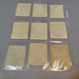 1933 / 1934 National Chicle Sky Birds Cards - thumbnail 16 of 22