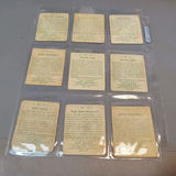 1933 / 1934 National Chicle Sky Birds Cards - thumbnail 13 of 22