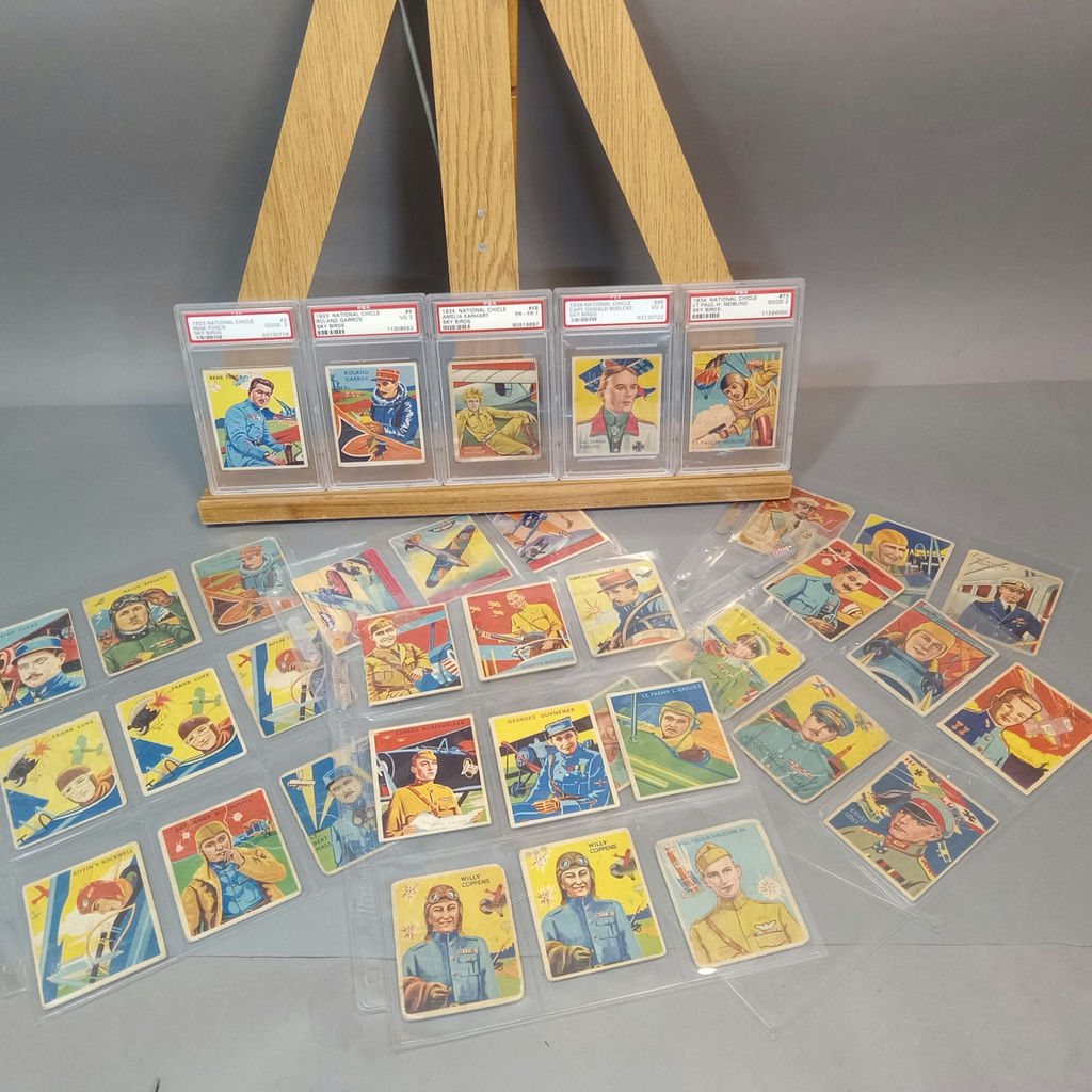1933 / 1934 National Chicle Sky Birds Cards - image 2 of 22