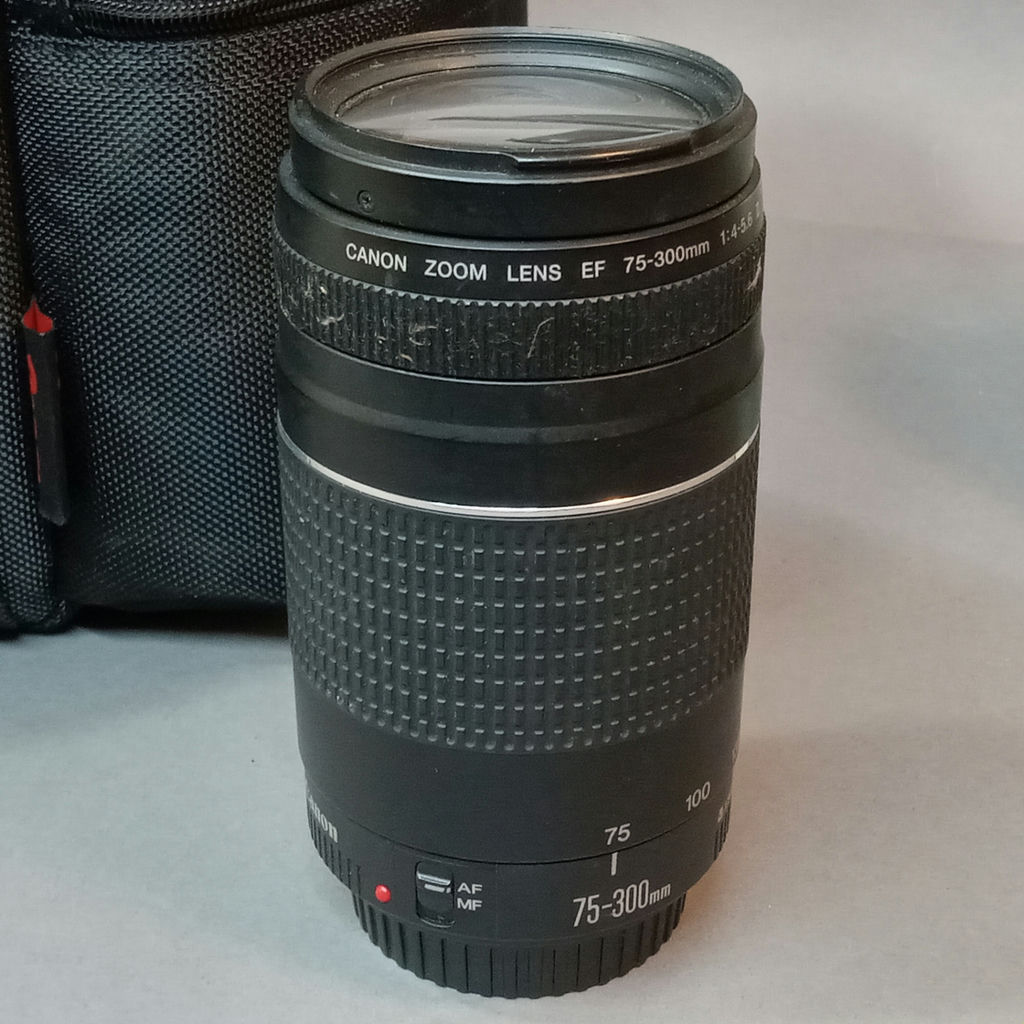 Canon 35mm Film Cameras & Lenses - image 15 of 22