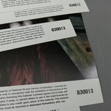 Vintage Star Wars / Return of the Jedi Memorabilia - thumbnail 11 of 20