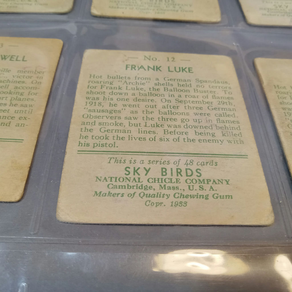 1933 / 1934 National Chicle Sky Birds Cards - image 14 of 22