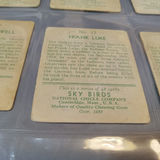 1933 / 1934 National Chicle Sky Birds Cards - thumbnail 14 of 22