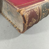 Whale Tooth Scrimshaw Bookends & Origin of Species - thumbnail 18 of 18