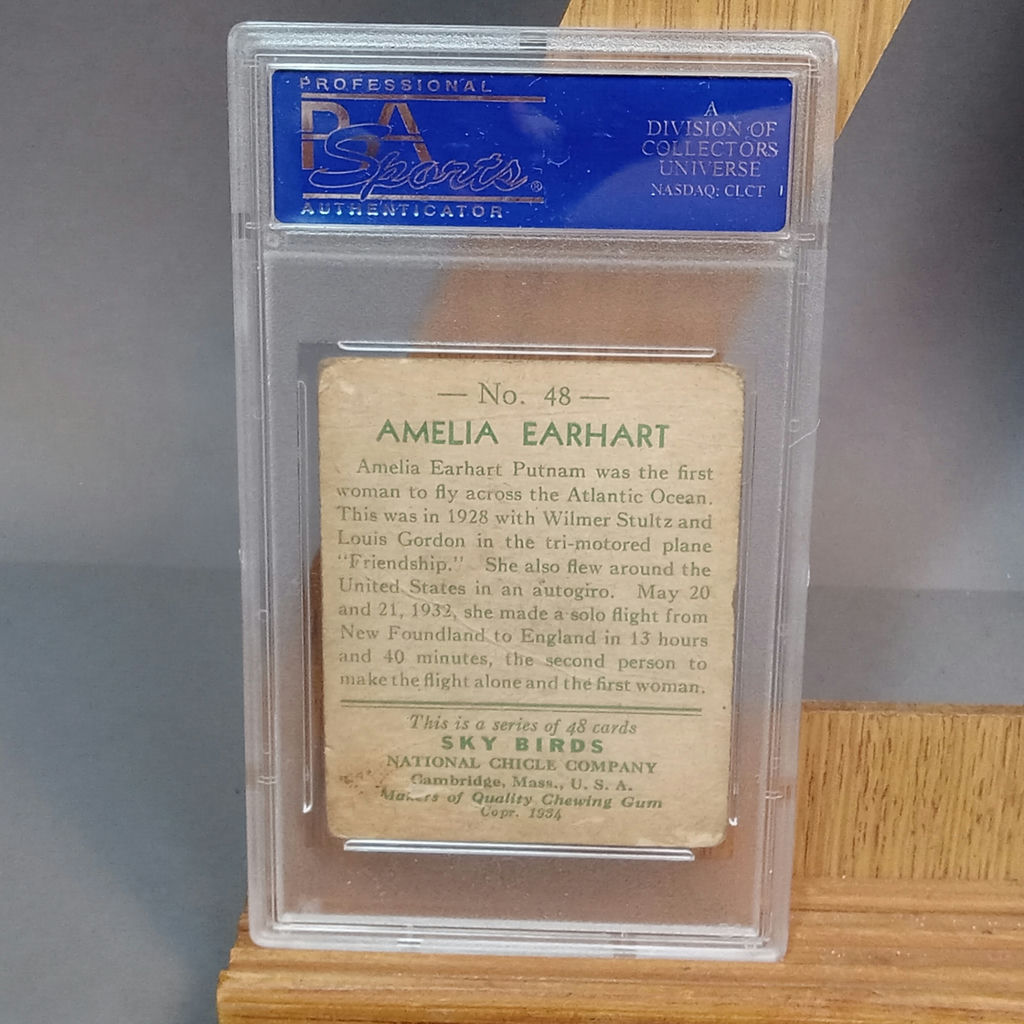 1933 / 1934 National Chicle Sky Birds Cards - image 7 of 22