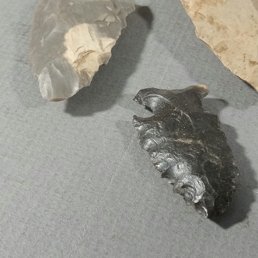 River Stones, Shells, And Arrowheads - image 3 of 12