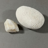 River Stones, Shells, And Arrowheads - thumbnail 7 of 12