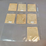 1933 / 1934 National Chicle Sky Birds Cards - thumbnail 18 of 22