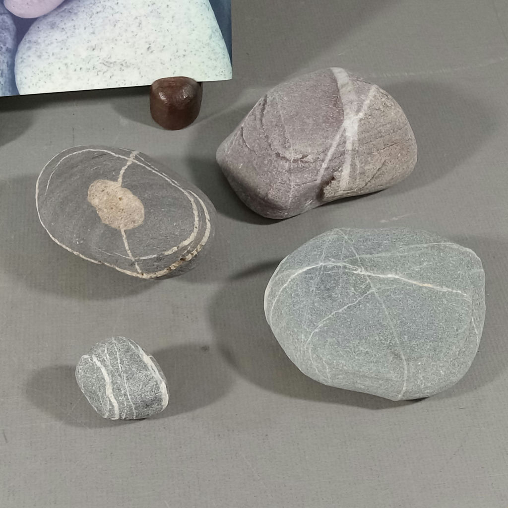 River Stones, Shells, And Arrowheads - image 8 of 12