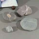 River Stones, Shells, And Arrowheads - thumbnail 8 of 12