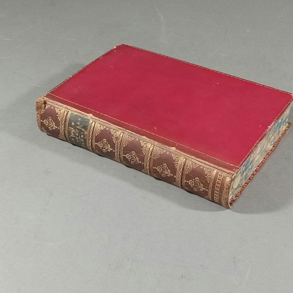 Whale Tooth Scrimshaw Bookends & Origin of Species - image 10 of 18