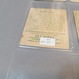 1933 / 1934 National Chicle Sky Birds Cards - thumbnail 19 of 22