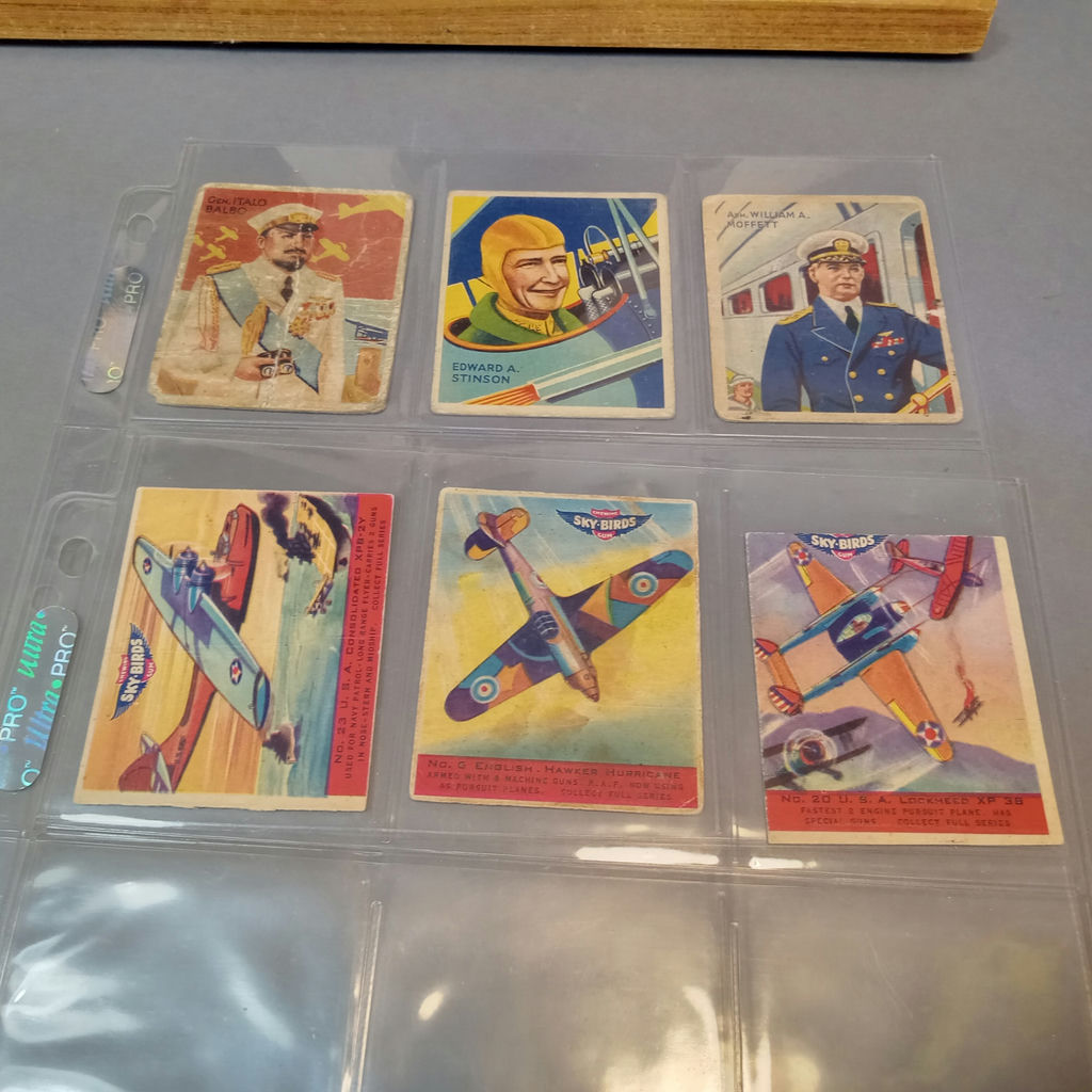 1933 / 1934 National Chicle Sky Birds Cards - image 21 of 22