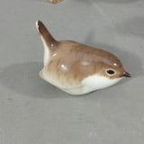 This Collection is For The Birds - thumbnail 16 of 27