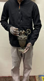 Antique French Spelter Ewers - thumbnail 2 of 5