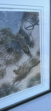 Framed Limited Edition Dove Art Print - thumbnail 2 of 8