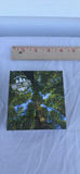 Royal Canadian Mint $200 Silver Coin in Presentation Box 2014 - thumbnail 9 of 15