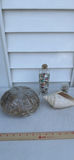 Assorted Seashell Decor Items - thumbnail 5 of 5