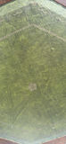 Vintage Octagonal Wooden Side Table with Green Leather Top - thumbnail 5 of 10