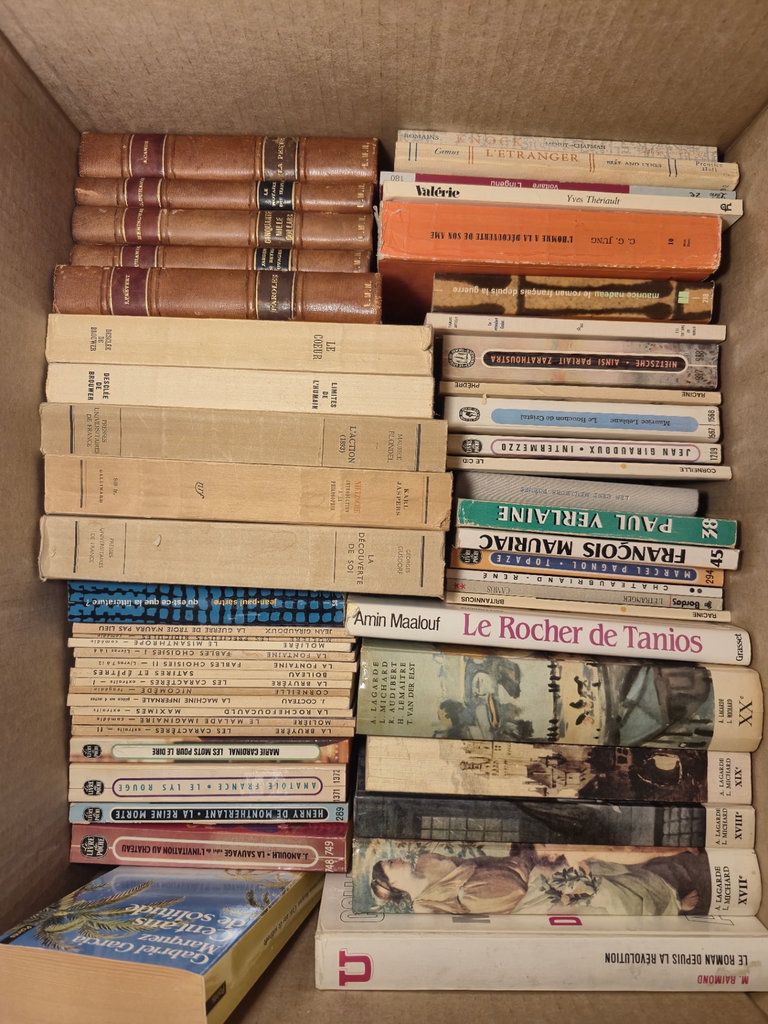 Collection of French-language books - image 2 of 3