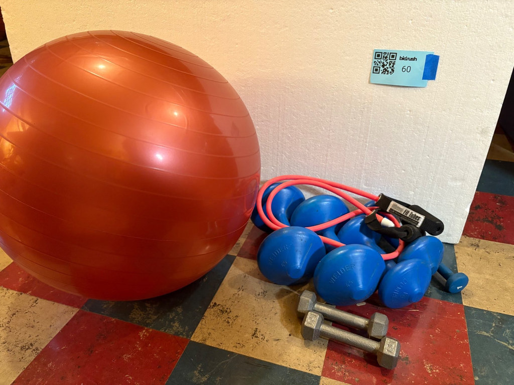 Fitness equipment: exercise ball, weights, and resistance tube - image 1 of 7