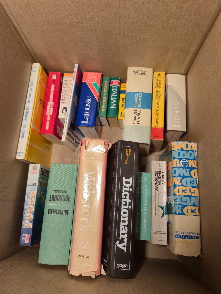Multilingual Dictionaries and Reference Books - image 1 of 4