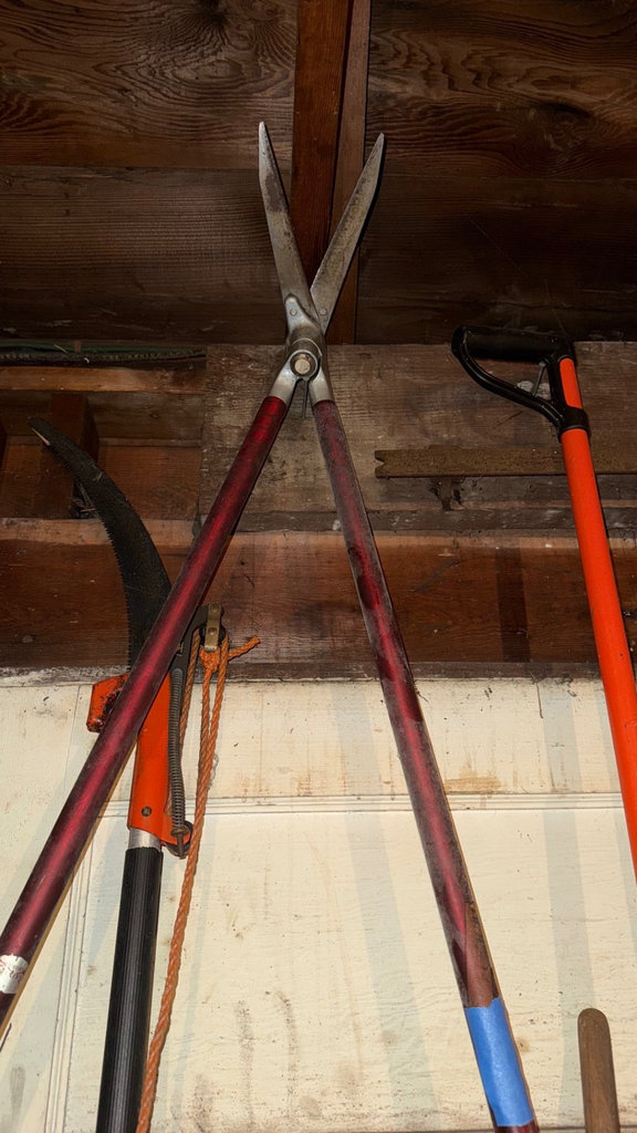 Assorted garden tools and rakes - image 2 of 5