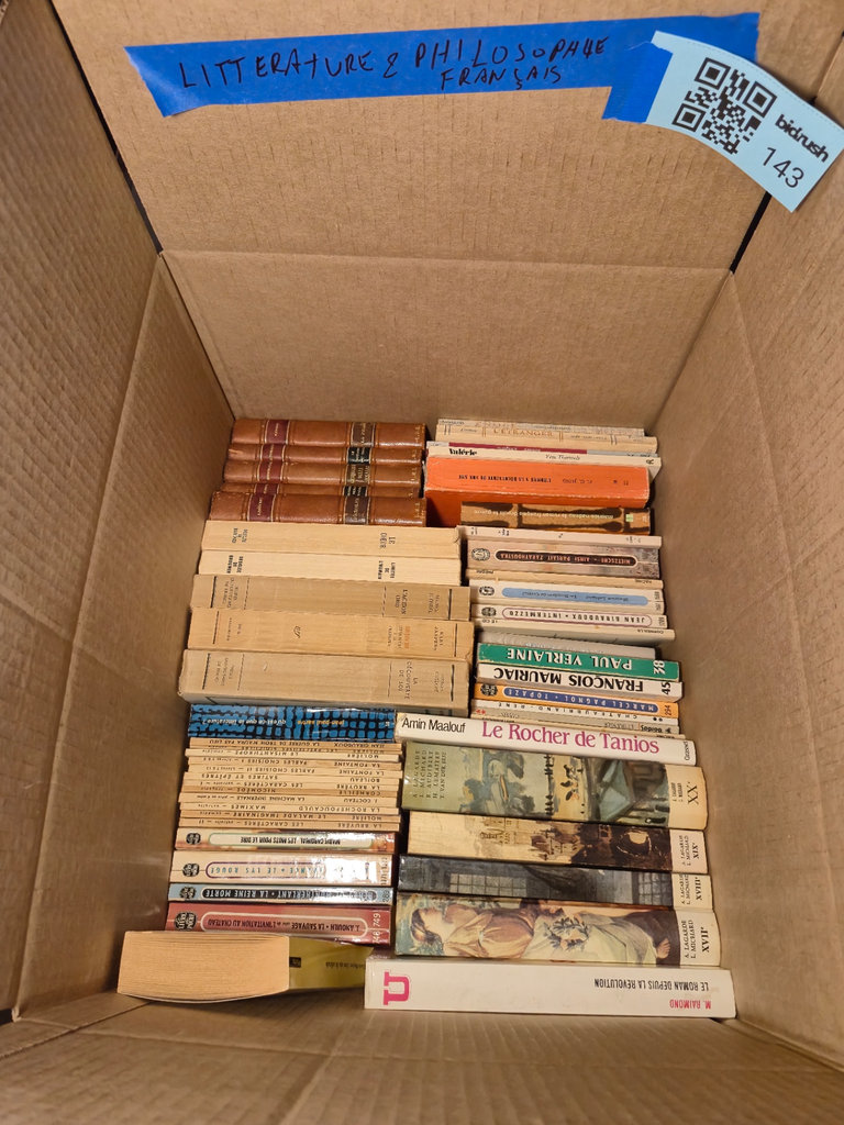 Collection of French-language books - image 1 of 3