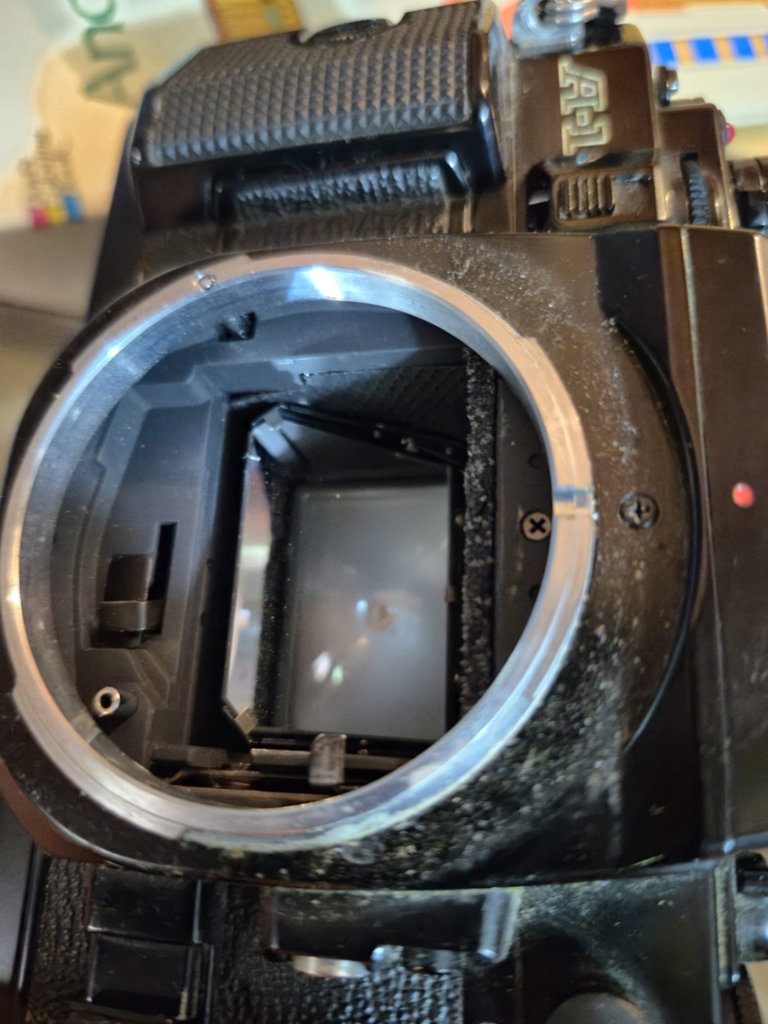 Canon film cameras with multiple lenses (FD mount) - image 3 of 8