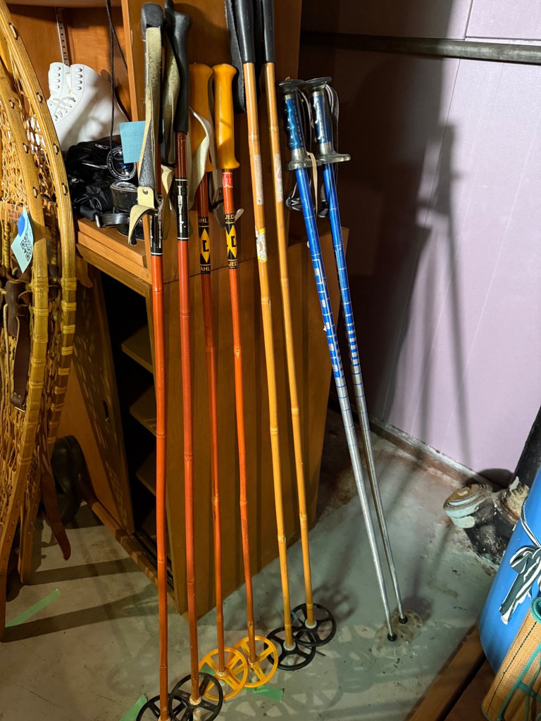 Assorted trekking and ski poles - image 1 of 19
