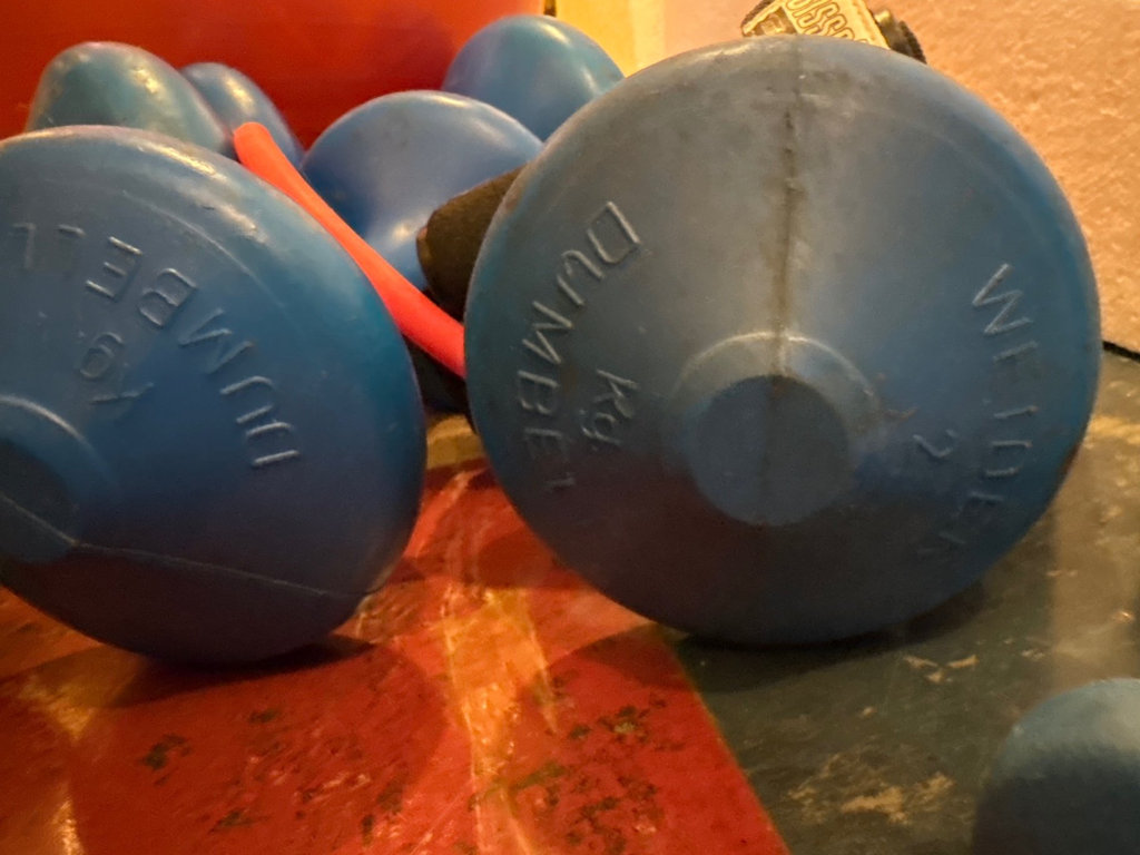 Fitness equipment: exercise ball, weights, and resistance tube - image 5 of 7