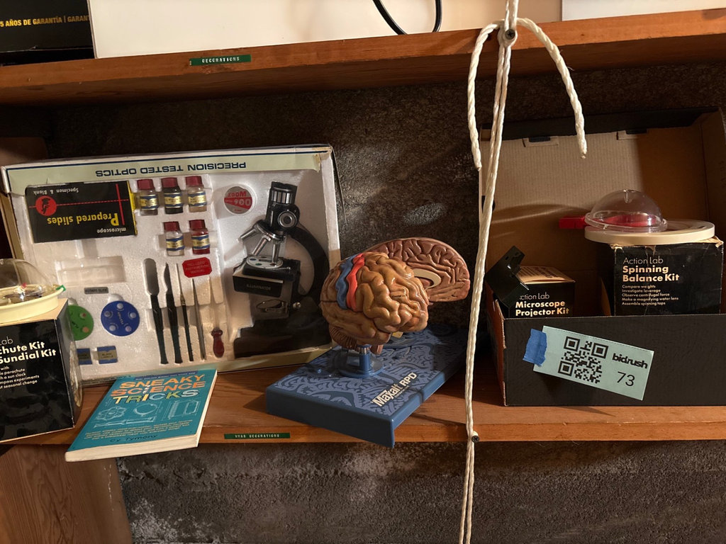 Assorted science experiment kits and a brain model - image 2 of 6