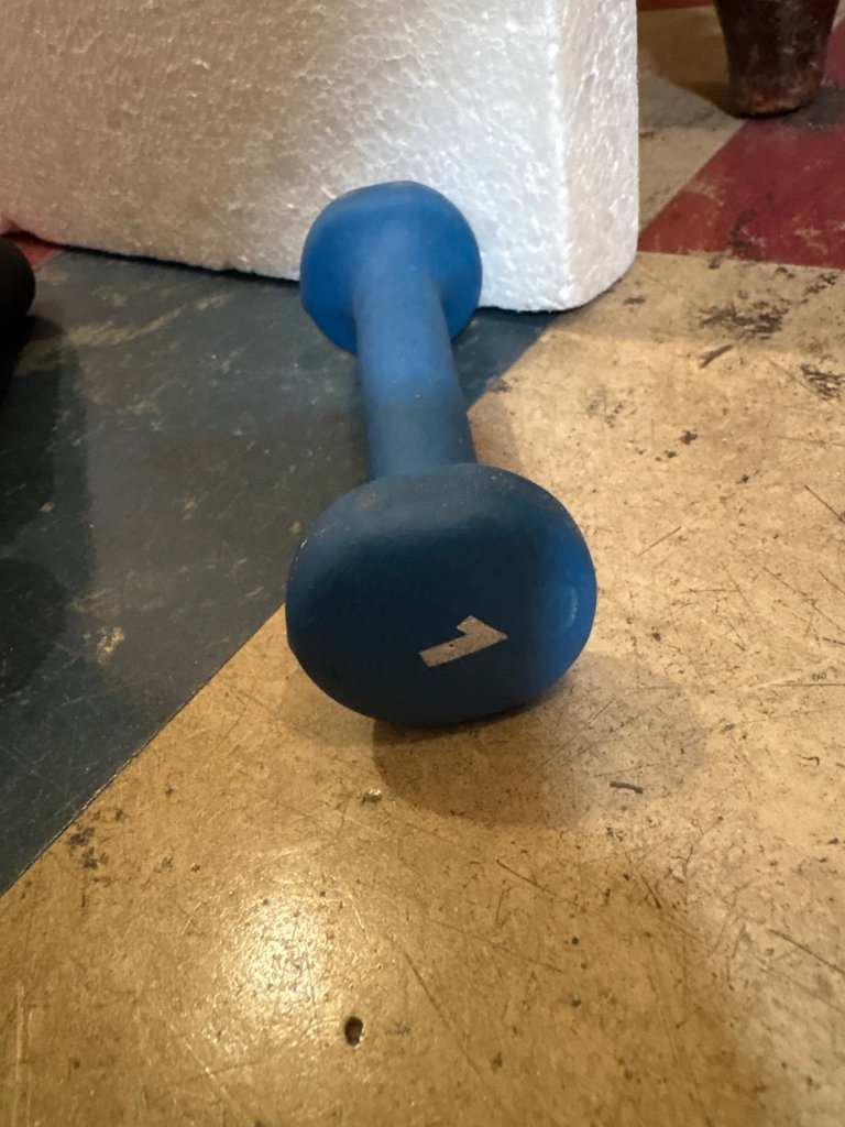 Fitness equipment: exercise ball, weights, and resistance tube - image 7 of 7