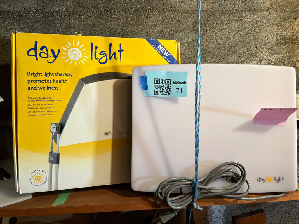 DayLight Bright Light Therapy Lamp with Packaging - image 1 of 7