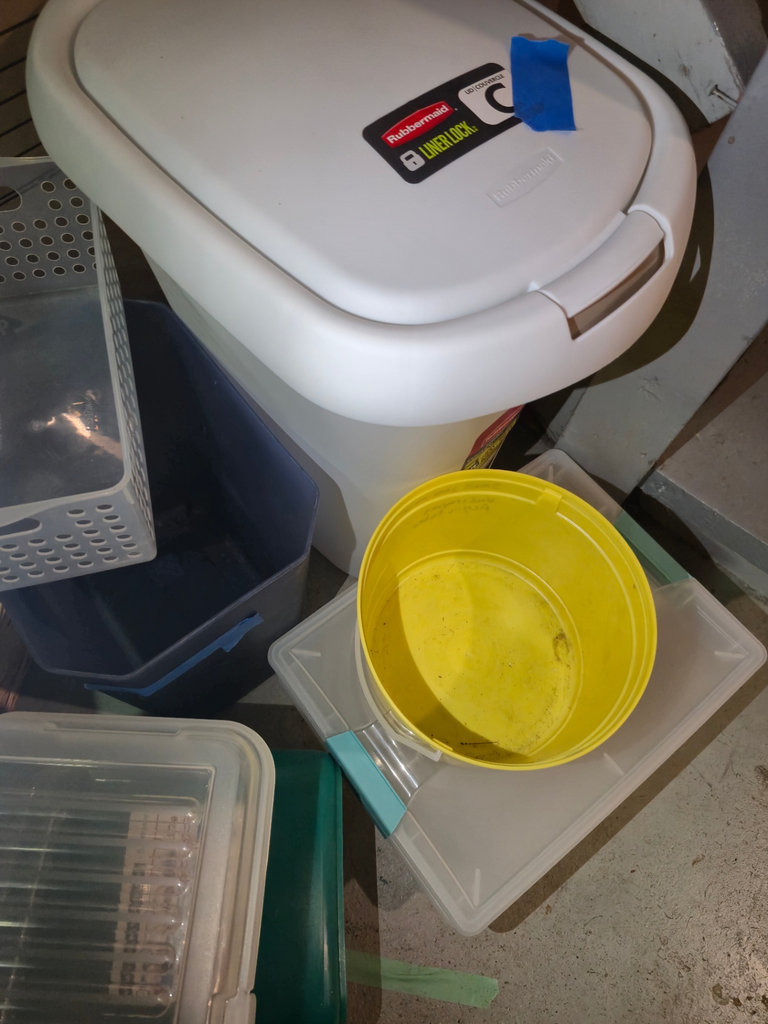 Assorted Plastic Storage Bins, Baskets, and Containers - image 1 of 5