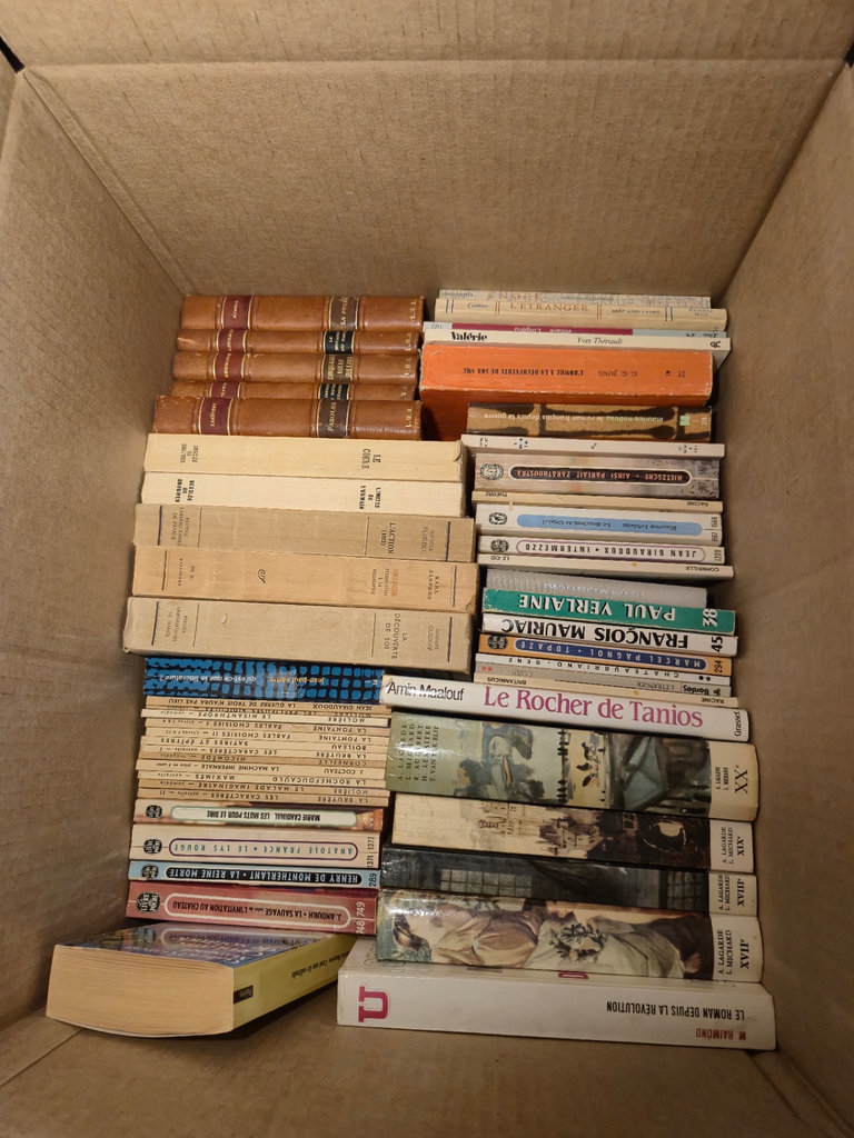 Collection of French-language books - image 3 of 3