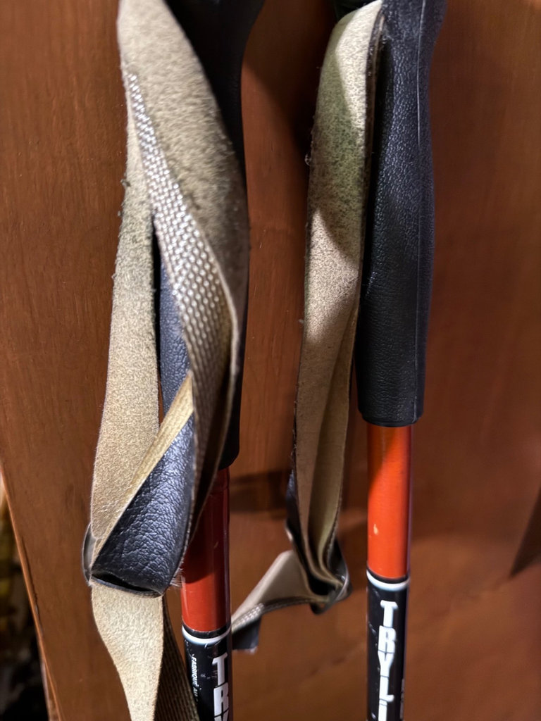 Assorted trekking and ski poles - image 3 of 19