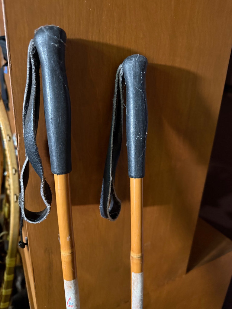Assorted trekking and ski poles - image 9 of 19