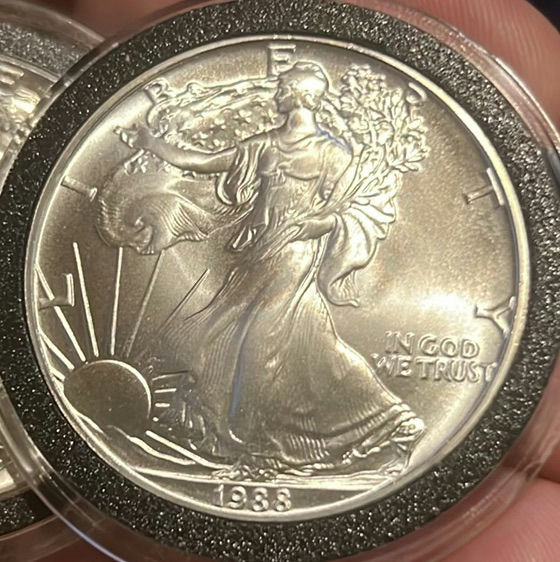 1988 US Walking Liberty 1 Ounce Silver Dollar Brilliant Uncirculated - image 1 of 5